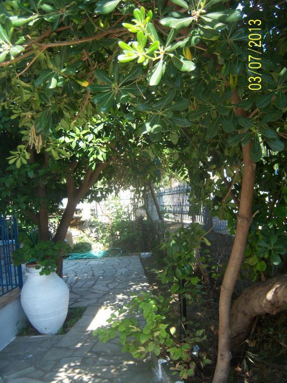 Smile Stella Studios Skopelos Oda fotoğraf